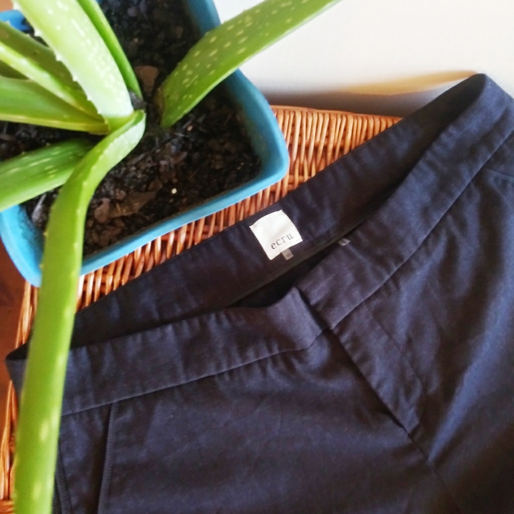 Ecru size 10 Dress pants (b23)